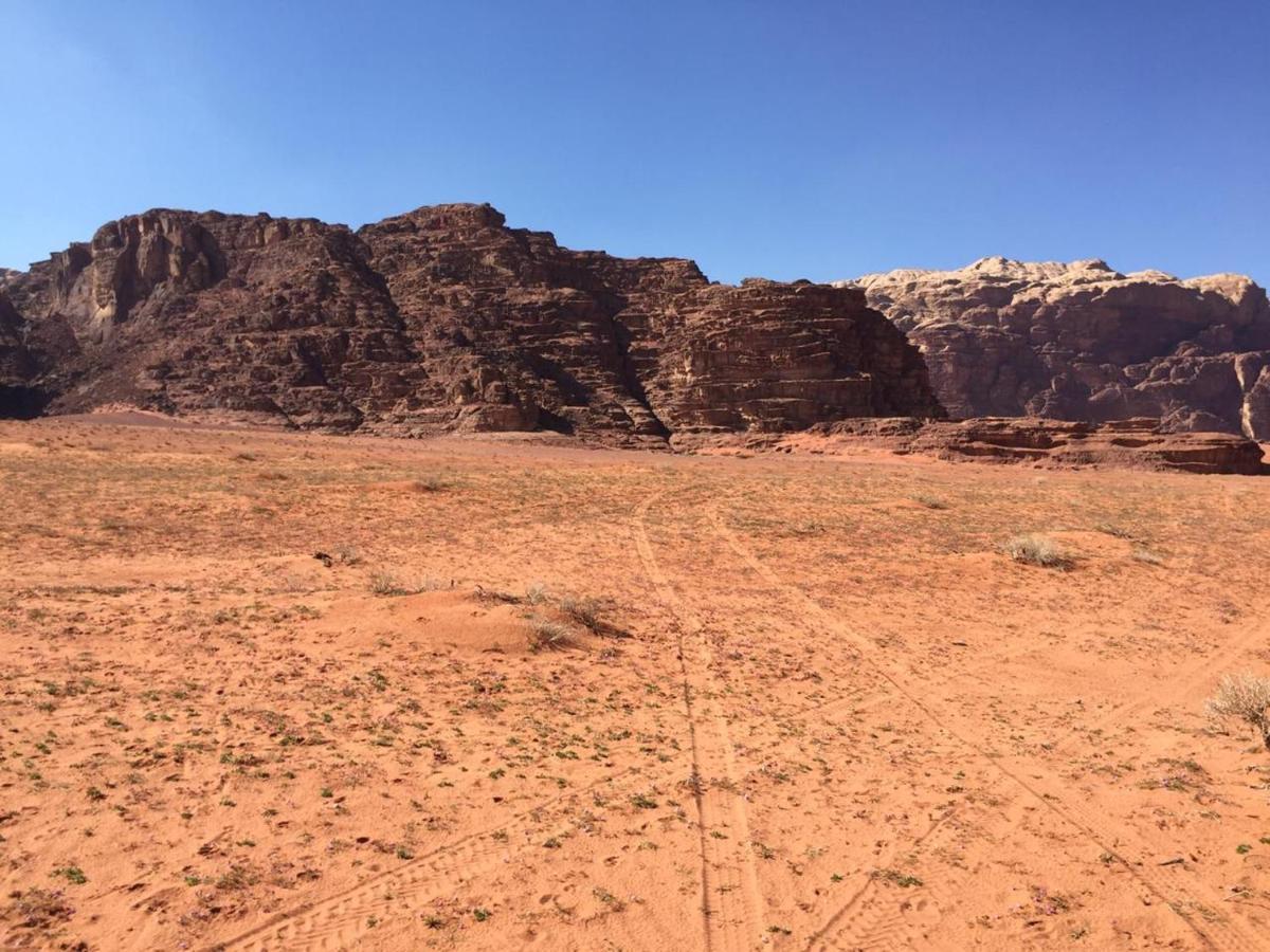 Wadi Rum Bedouin Experience Екстериор снимка