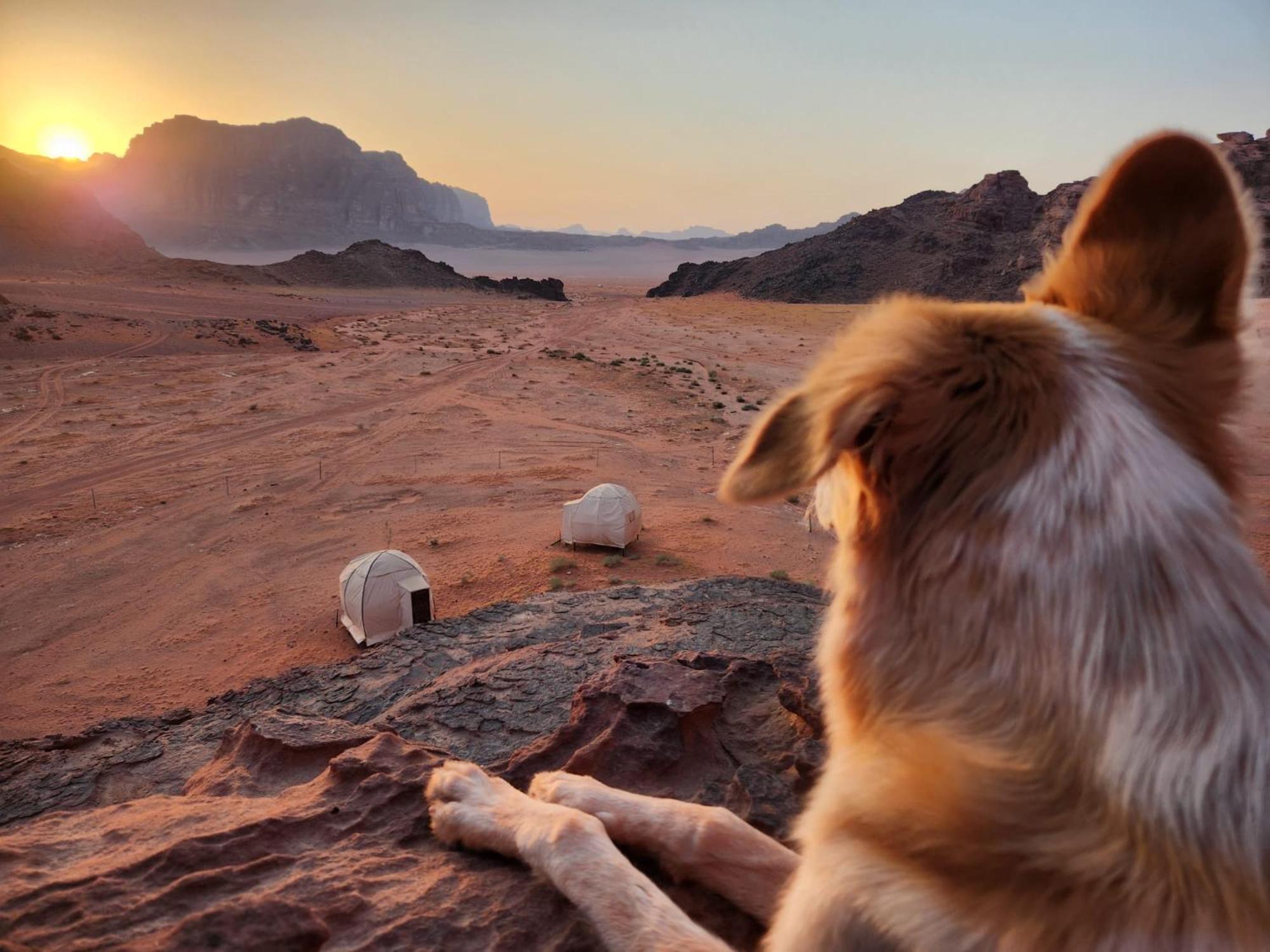 Wadi Rum Bedouin Experience Hotel Екстериор снимка