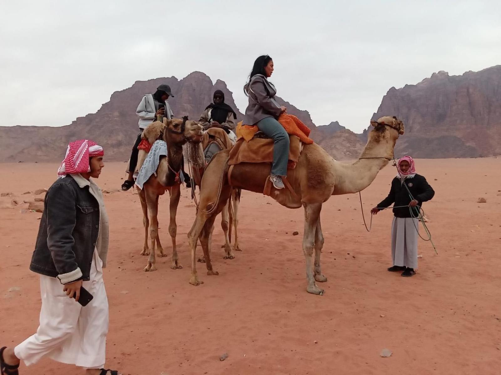 Wadi Rum Bedouin Experience Екстериор снимка