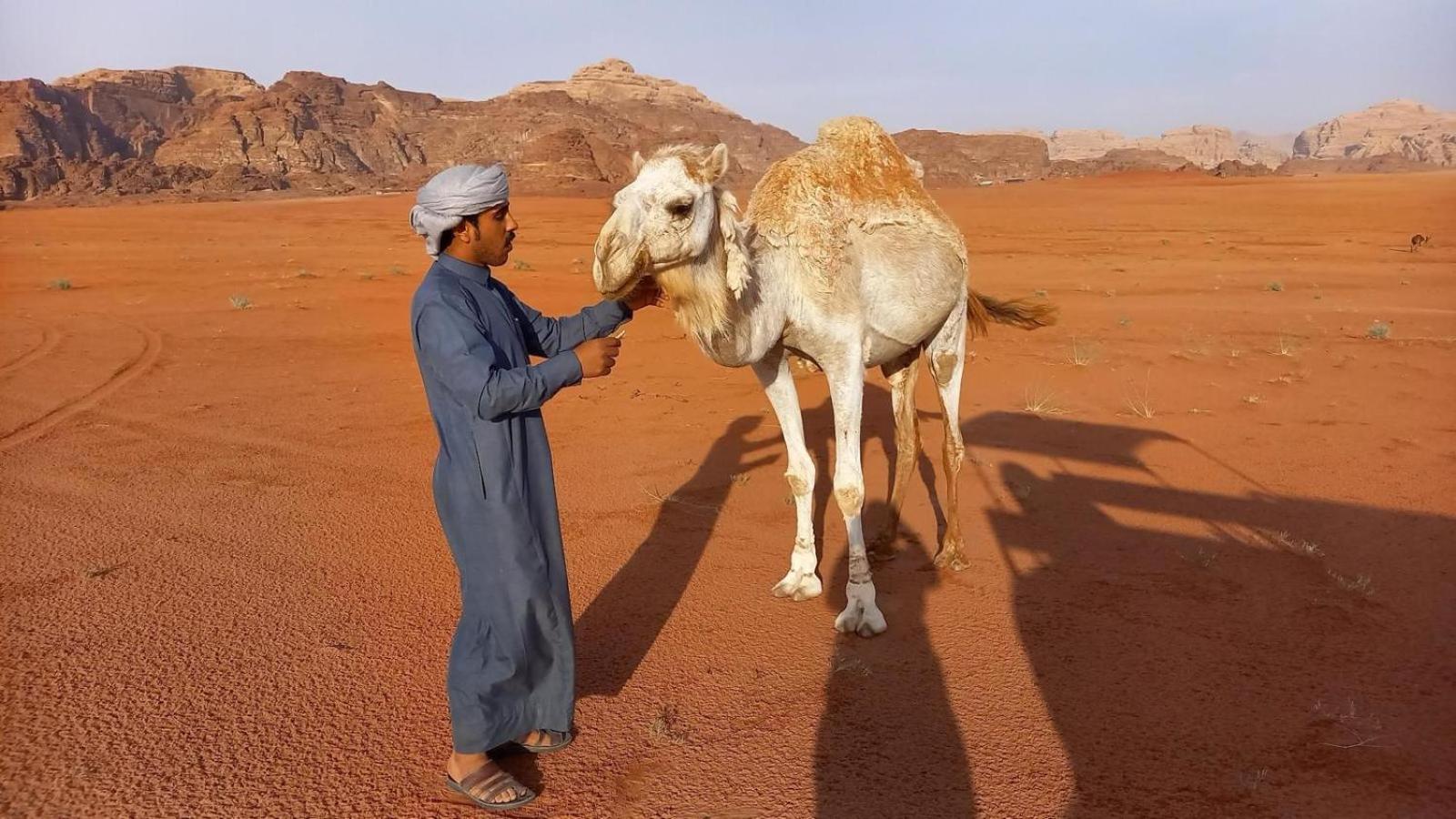 Wadi Rum Bedouin Experience Екстериор снимка